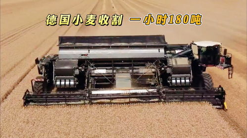 德國研發(fā)新型收割機(jī),搭載15.5米寬割臺(tái),一小時(shí)收割小麥180噸